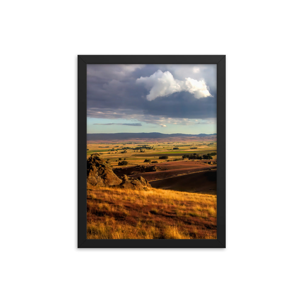 New Zealand  Landscape  Framed Photo - Tazloma